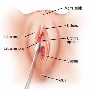 graphic-2